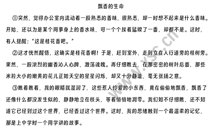 飘香的生命 (1).webp