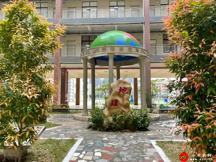 xsc.cn878.webp