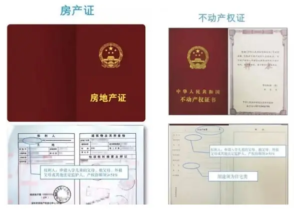 xsc.cn984.webp