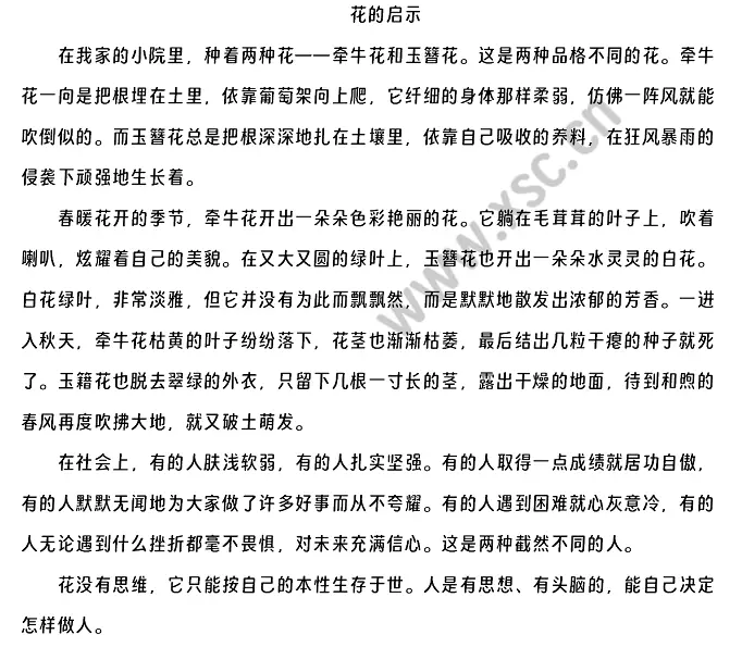花的启示.webp