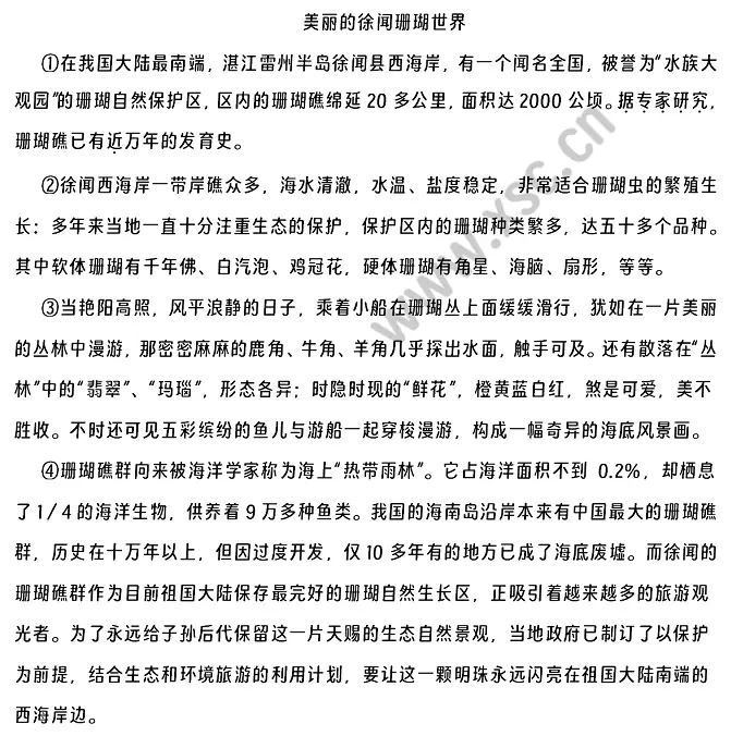 美丽的徐闻珊瑚世界.webp