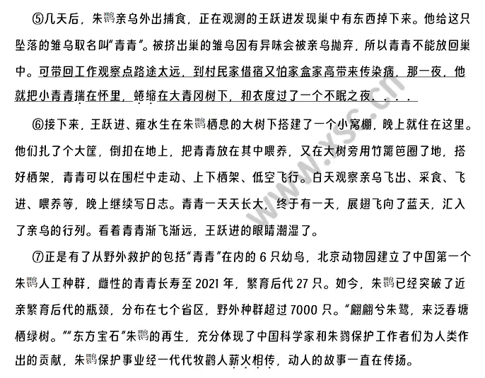 用情用爱护朱鹮 (2).webp