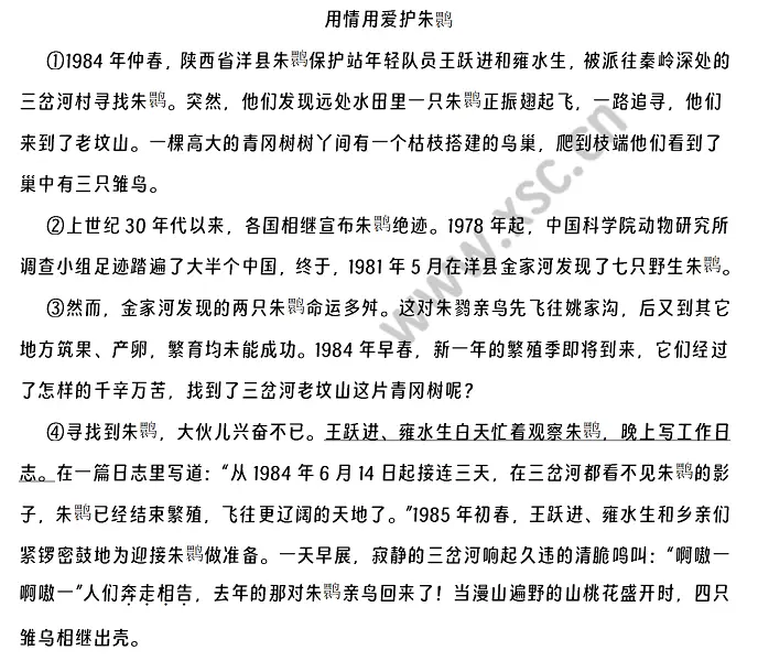 用情用爱护朱鹮 (1).webp