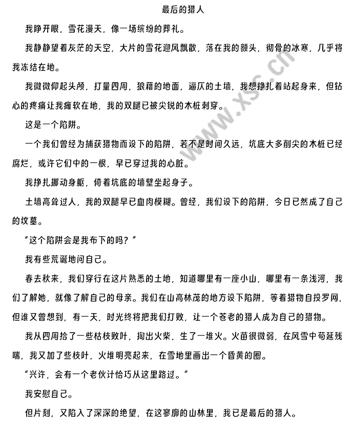 最后的猎人 (1).webp