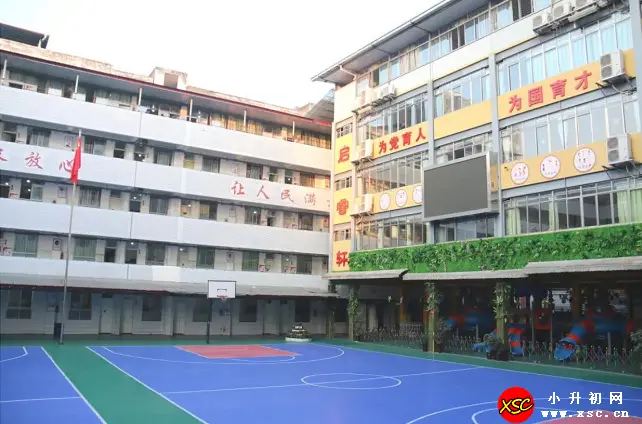 xsc.cn500.webp