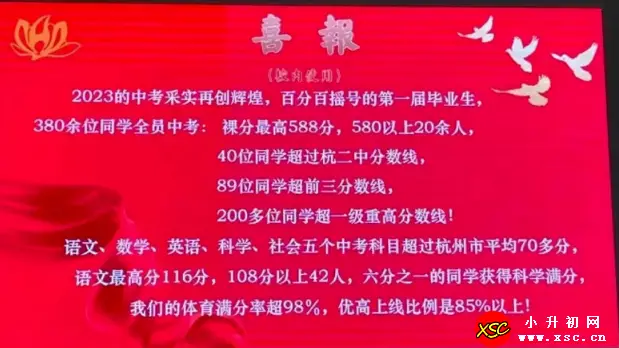 xsc.cn535.webp
