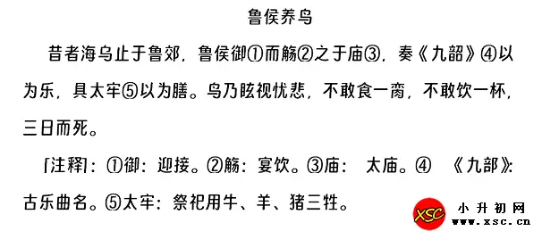 鲁侯养鸟阅读理解题及答案(阅读答案).webp