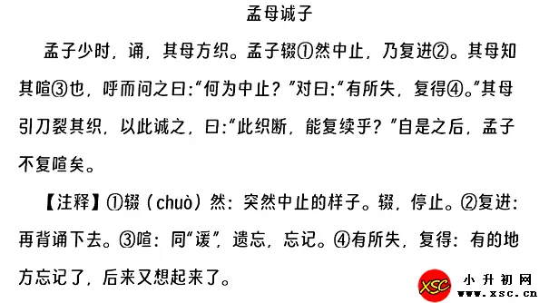 孟母诚子阅读理解题及答案(阅读答案).webp