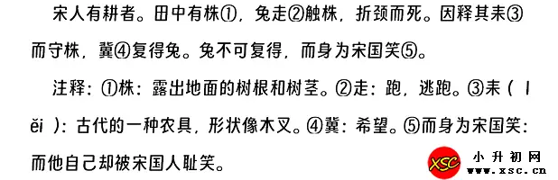 守株待兔阅读理解题及答案(阅读答案三)