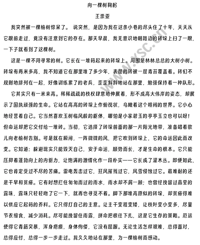 向一棵树鞠躬原文 (1).webp
