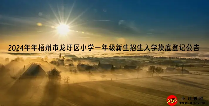 2024年梧州市龙圩区小学一年级新生招生入学摸底登记公告