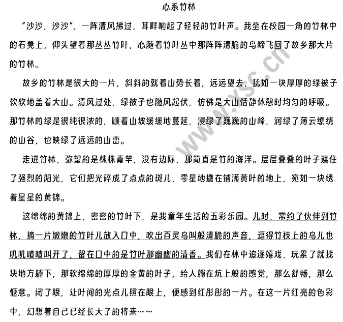 心系竹林原文 (1)