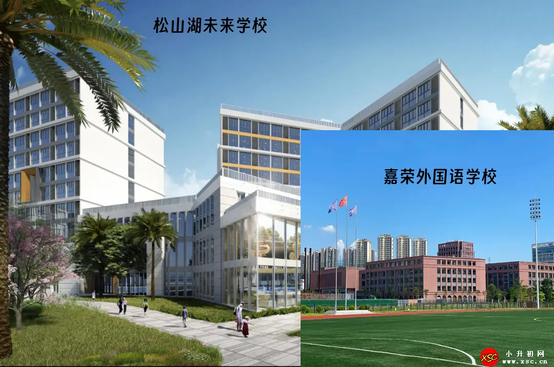 松山湖未来学校和嘉荣外国语学校哪个更好？