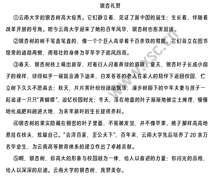 银杏礼赞原文.webp