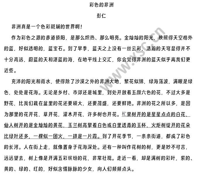 彩色的非洲原文 (1).webp