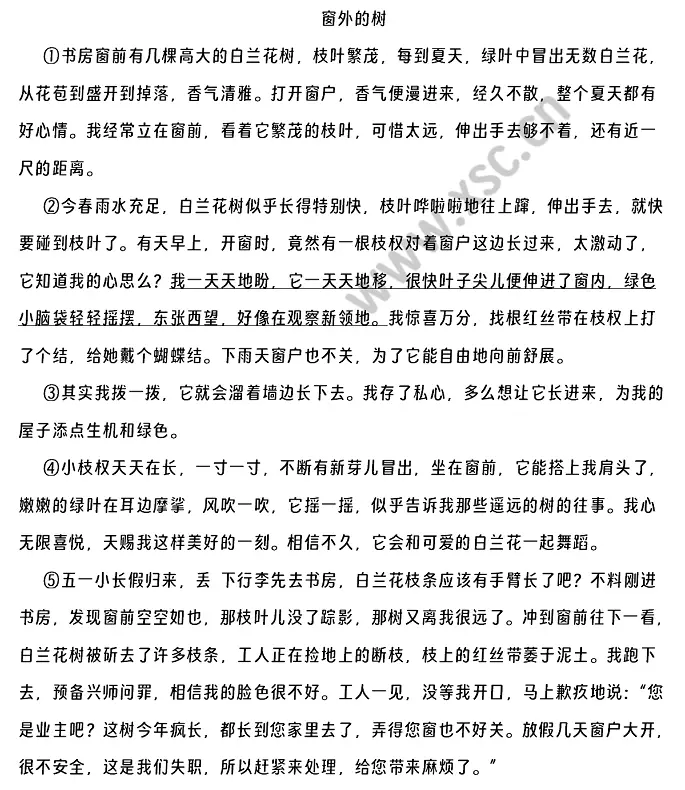 窗外的树阅读理解题及答案(阅读答案) (1).webp