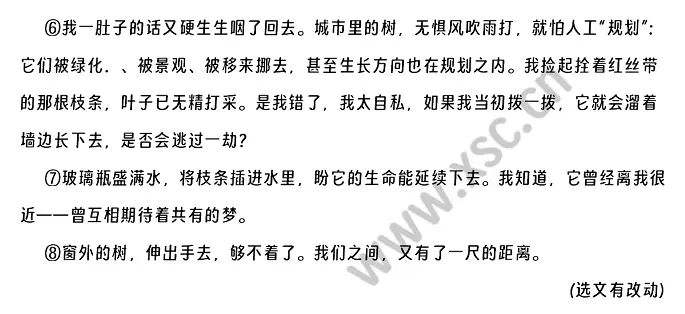 窗外的树阅读理解题及答案(阅读答案) (2).webp