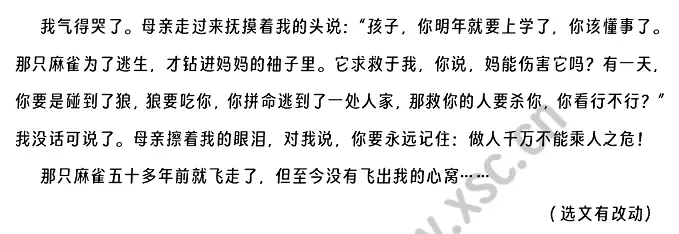 母亲与麻雀 (2).webp