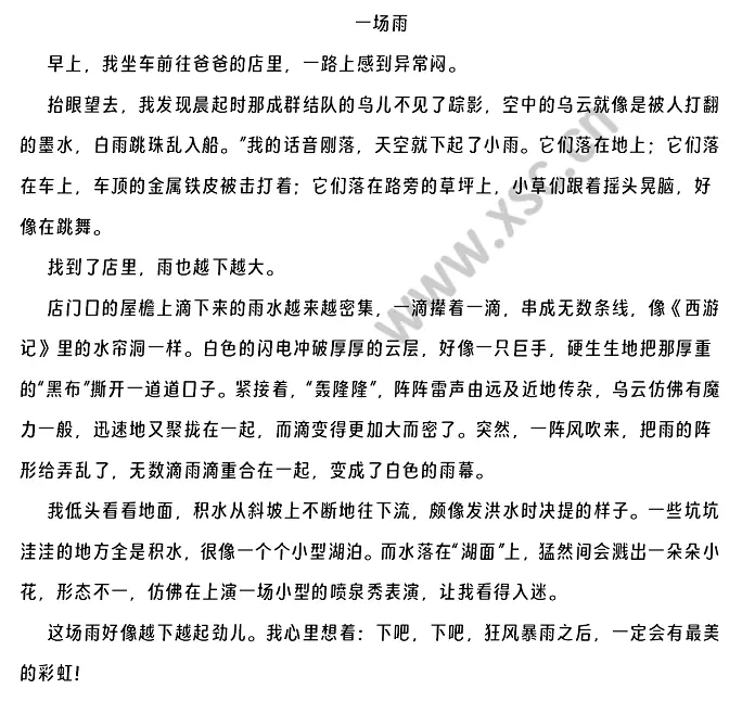 一场雨阅读理解题及答案(阅读答案).webp