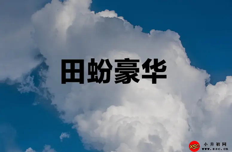 田蚡豪华什么意思.webp