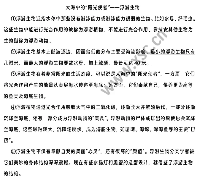 大海中的“阳光使者”——浮游生物原文.webp