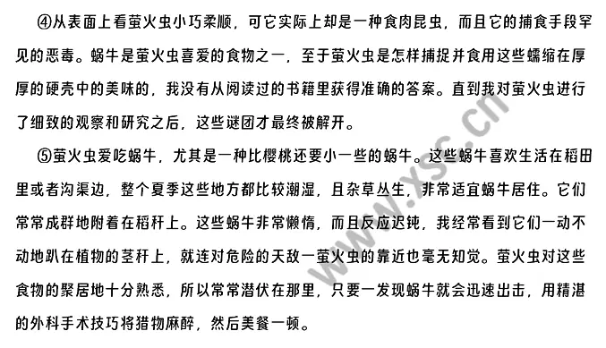 萤火虫原文 (2).webp