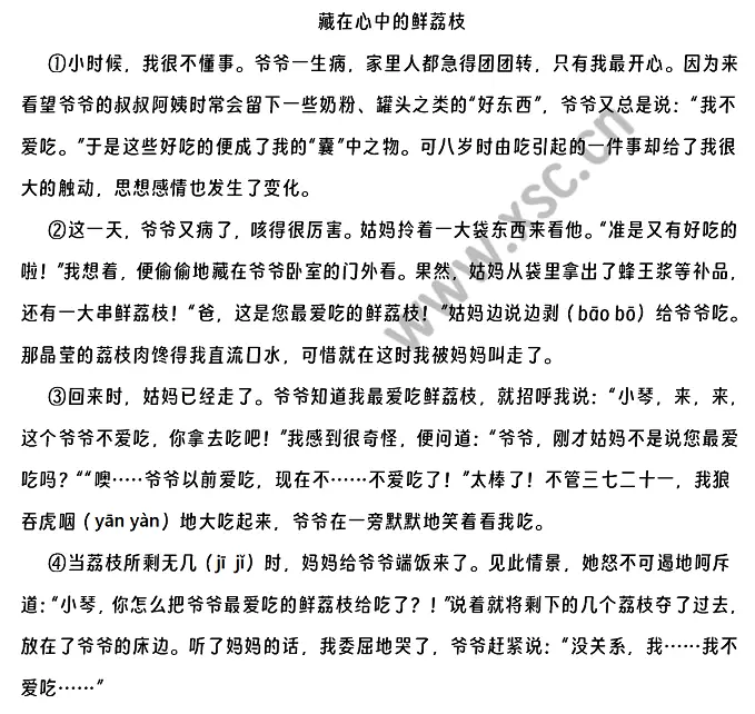 藏在心中的鲜荔枝原文 (1)