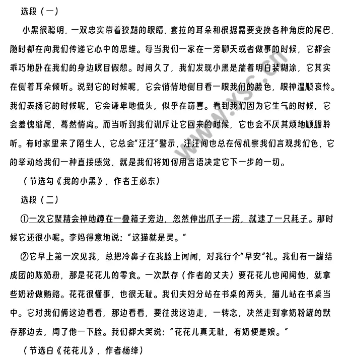 《我的小黑》《花花儿》材料原文.webp