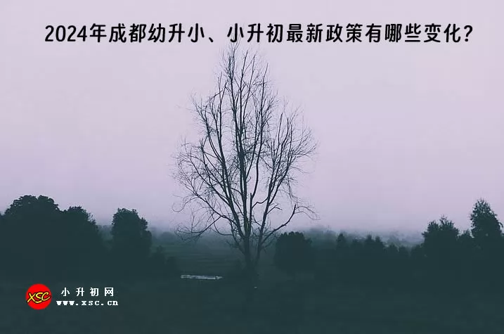 2024年成都幼升小、小升初最新政策有哪些变化？