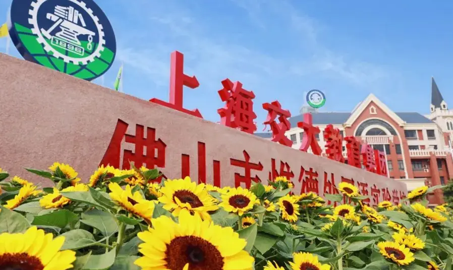 佛山市惟德外国语实验学校