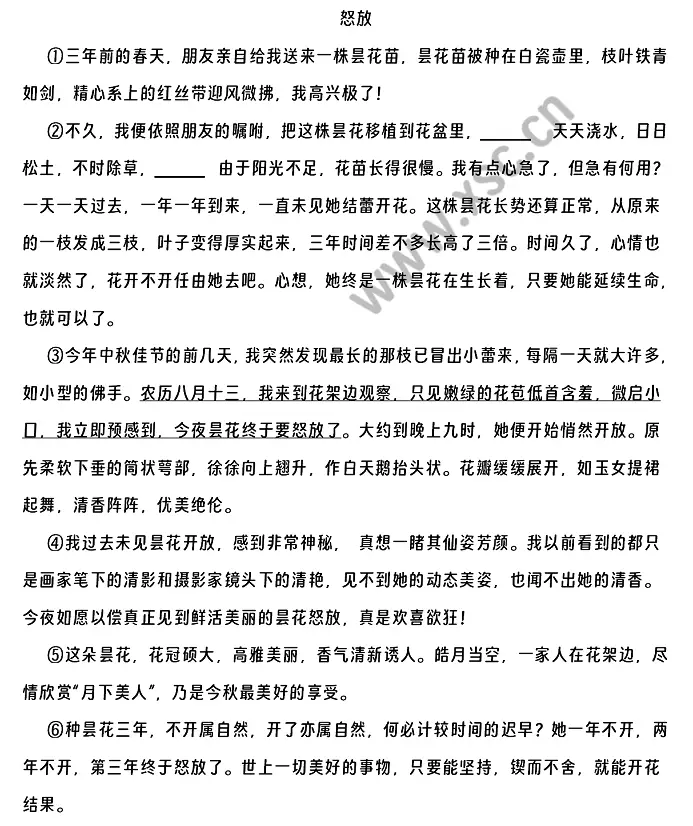《怒放》原文.webp
