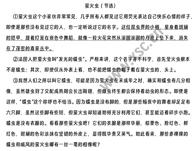 萤火虫原文 (1).webp