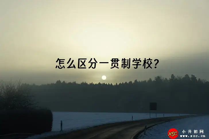 怎么区分一贯制学校？佛山一贯制学校招生政策特点说明！