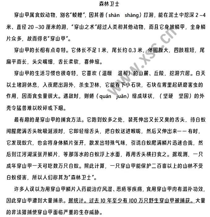 森林卫士原文.webp