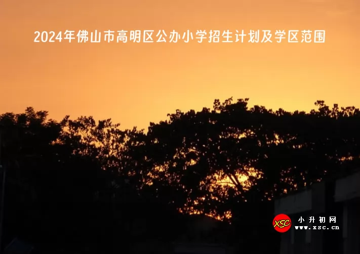 2024年佛山市高明区公办小学招生计划及学区范围一览