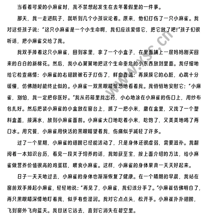 《我和小麻雀》原文.webp