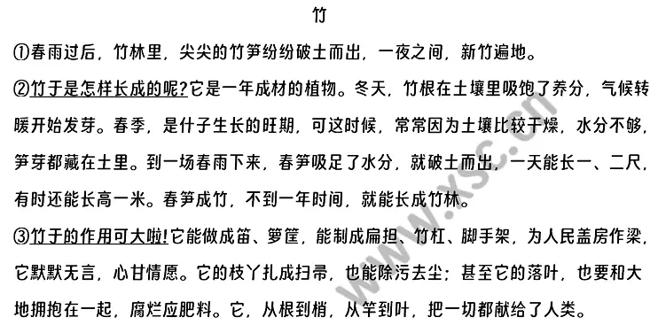 竹原文.webp