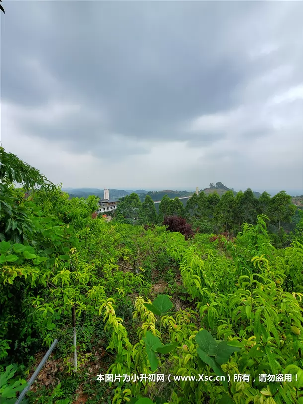 小学英语语法巧记口诀（顺口溜大全）