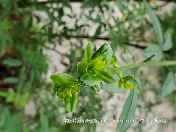 剑桥英语KET考试真题（2019备考使用）