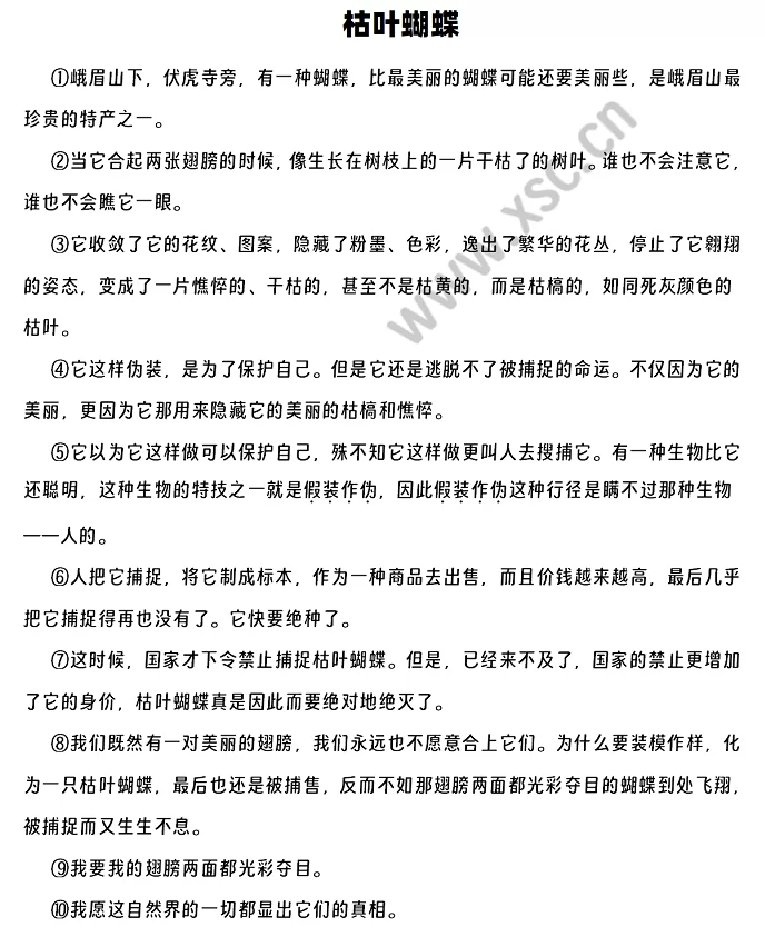 《枯叶蝴蝶》原文