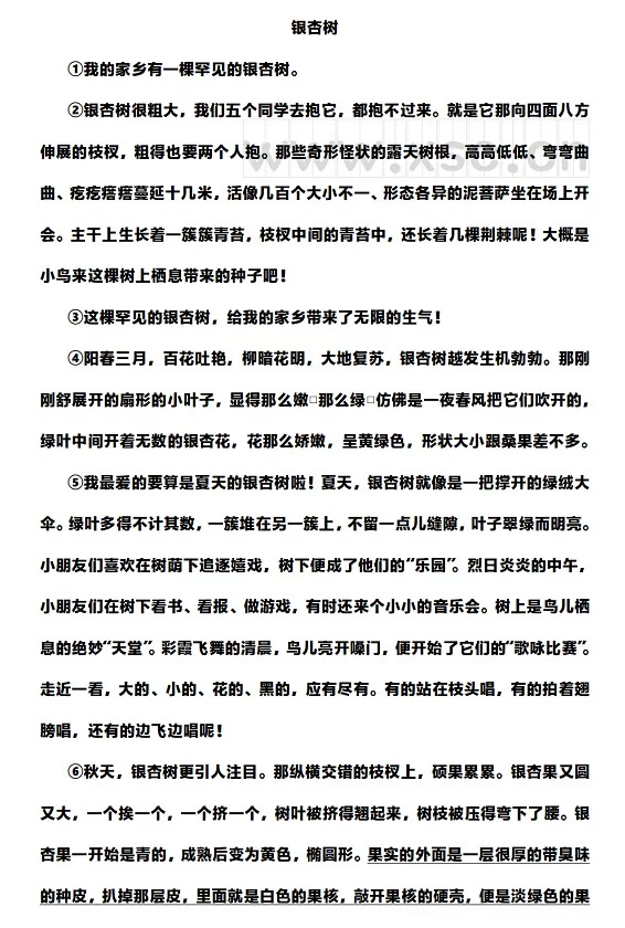 银杏树(阅读答案)1
