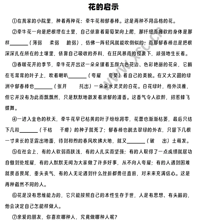 《花的启示》阅读理解题及答案(阅读答案二)