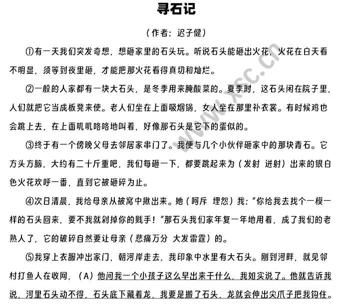 寻石记阅读理解题及答案(阅读答案二)