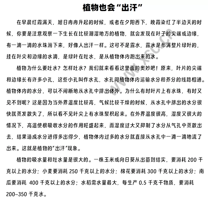 《植物也会“出汗”》原文1
