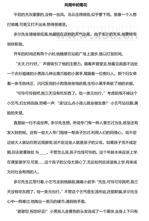 风雨中的菊花