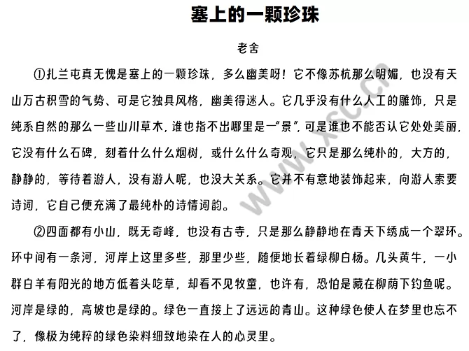 《塞上的一颗珍珠》1