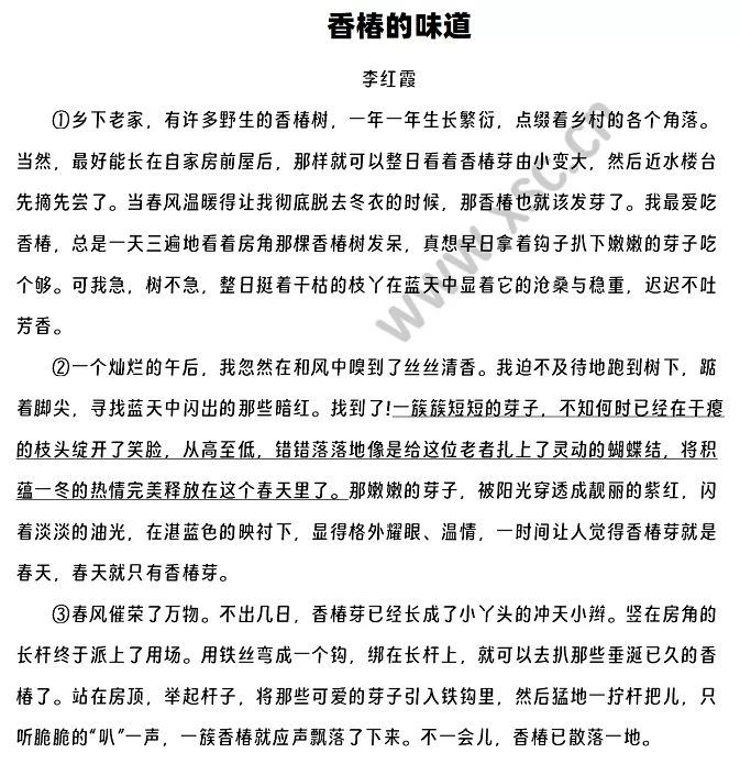 香椿的味道1