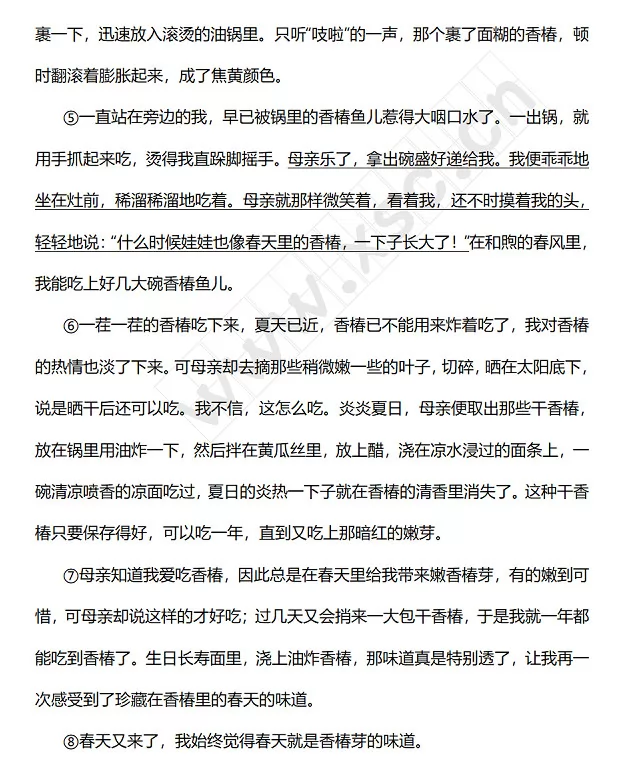 香椿的味道2