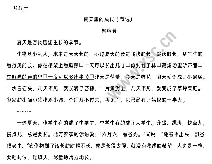 《夏天里的成长》