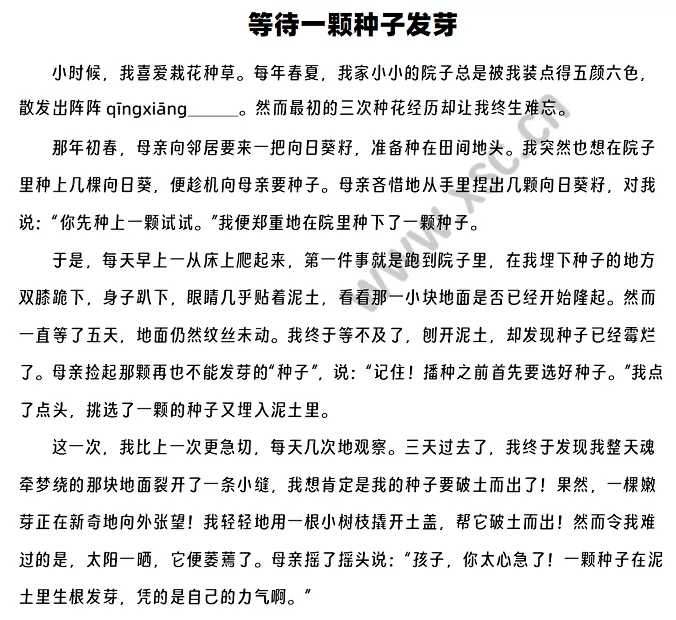 等待一颗种子发芽